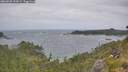 ./images/calvert/foggy-cove/20260628/foggy-cove20260628_132001M.jpg