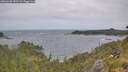 ./images/calvert/foggy-cove/20260628/foggy-cove20260628_132501M.jpg