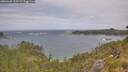 ./images/calvert/foggy-cove/20260628/foggy-cove20260628_133502M.jpg