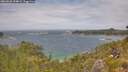 ./images/calvert/foggy-cove/20260628/foggy-cove20260628_134001M.jpg
