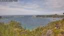 ./images/calvert/foggy-cove/20260628/foggy-cove20260628_135001M.jpg