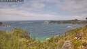./images/calvert/foggy-cove/20260628/foggy-cove20260628_135501M.jpg
