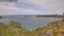 ./images/calvert/foggy-cove/20260628/foggy-cove20260628_140501M.jpg