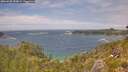 ./images/calvert/foggy-cove/20260628/foggy-cove20260628_142001M.jpg