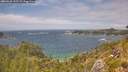 ./images/calvert/foggy-cove/20260628/foggy-cove20260628_142501M.jpg