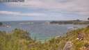 ./images/calvert/foggy-cove/20260628/foggy-cove20260628_143501M.jpg