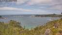 ./images/calvert/foggy-cove/20260628/foggy-cove20260628_145002M.jpg