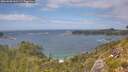 ./images/calvert/foggy-cove/20260628/foggy-cove20260628_145501M.jpg