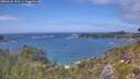 ./images/calvert/foggy-cove/20260628/foggy-cove20260628_150501M.jpg
