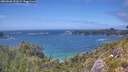 ./images/calvert/foggy-cove/20260628/foggy-cove20260628_151002M.jpg