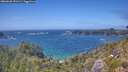 ./images/calvert/foggy-cove/20260628/foggy-cove20260628_151501M.jpg
