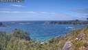 ./images/calvert/foggy-cove/20260628/foggy-cove20260628_154001M.jpg