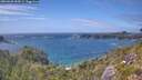 ./images/calvert/foggy-cove/20260628/foggy-cove20260628_154501M.jpg