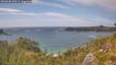 ./images/calvert/foggy-cove/20260628/foggy-cove20260628_155001M.jpg