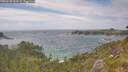./images/calvert/foggy-cove/20260628/foggy-cove20260628_161001M.jpg