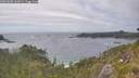 ./images/calvert/foggy-cove/20260628/foggy-cove20260628_162001M.jpg