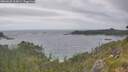 ./images/calvert/foggy-cove/20260628/foggy-cove20260628_163001M.jpg