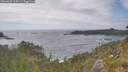 ./images/calvert/foggy-cove/20260628/foggy-cove20260628_164501M.jpg