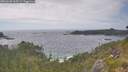./images/calvert/foggy-cove/20260628/foggy-cove20260628_165501M.jpg