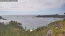 ./images/calvert/foggy-cove/20260628/foggy-cove20260628_170501M.jpg