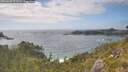 ./images/calvert/foggy-cove/20260628/foggy-cove20260628_171501M.jpg