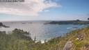 ./images/calvert/foggy-cove/20260628/foggy-cove20260628_173001M.jpg