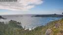 ./images/calvert/foggy-cove/20260628/foggy-cove20260628_173501M.jpg