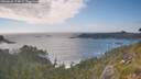 ./images/calvert/foggy-cove/20260628/foggy-cove20260628_174002M.jpg