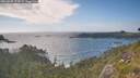./images/calvert/foggy-cove/20260628/foggy-cove20260628_174501M.jpg
