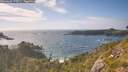 ./images/calvert/foggy-cove/20260628/foggy-cove20260628_175501M.jpg
