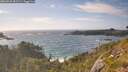 ./images/calvert/foggy-cove/20260628/foggy-cove20260628_181501M.jpg