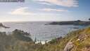 ./images/calvert/foggy-cove/20260628/foggy-cove20260628_182501M.jpg