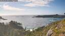 ./images/calvert/foggy-cove/20260628/foggy-cove20260628_183001M.jpg