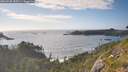 ./images/calvert/foggy-cove/20260628/foggy-cove20260628_183501M.jpg