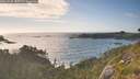 ./images/calvert/foggy-cove/20260628/foggy-cove20260628_185501M.jpg