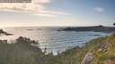./images/calvert/foggy-cove/20260628/foggy-cove20260628_190002M.jpg