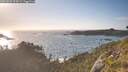 ./images/calvert/foggy-cove/20260628/foggy-cove20260628_194501M.jpg
