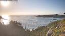./images/calvert/foggy-cove/20260628/foggy-cove20260628_201002M.jpg
