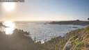 ./images/calvert/foggy-cove/20260628/foggy-cove20260628_202001M.jpg