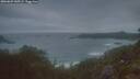 ./images/calvert/foggy-cove/20260629/foggy-cove20260629_045501M.jpg