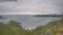 ./images/calvert/foggy-cove/20260629/foggy-cove20260629_053001M.jpg