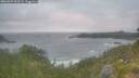 ./images/calvert/foggy-cove/20260629/foggy-cove20260629_053501M.jpg