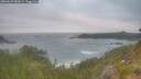 ./images/calvert/foggy-cove/20260629/foggy-cove20260629_054501M.jpg