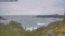 ./images/calvert/foggy-cove/20260629/foggy-cove20260629_055001M.jpg