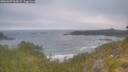 ./images/calvert/foggy-cove/20260629/foggy-cove20260629_062001M.jpg