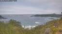 ./images/calvert/foggy-cove/20260629/foggy-cove20260629_063001M.jpg