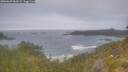 ./images/calvert/foggy-cove/20260629/foggy-cove20260629_063501M.jpg