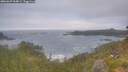 ./images/calvert/foggy-cove/20260629/foggy-cove20260629_064001M.jpg