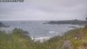 ./images/calvert/foggy-cove/20260629/foggy-cove20260629_065002M.jpg