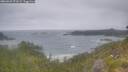 ./images/calvert/foggy-cove/20260629/foggy-cove20260629_071002M.jpg